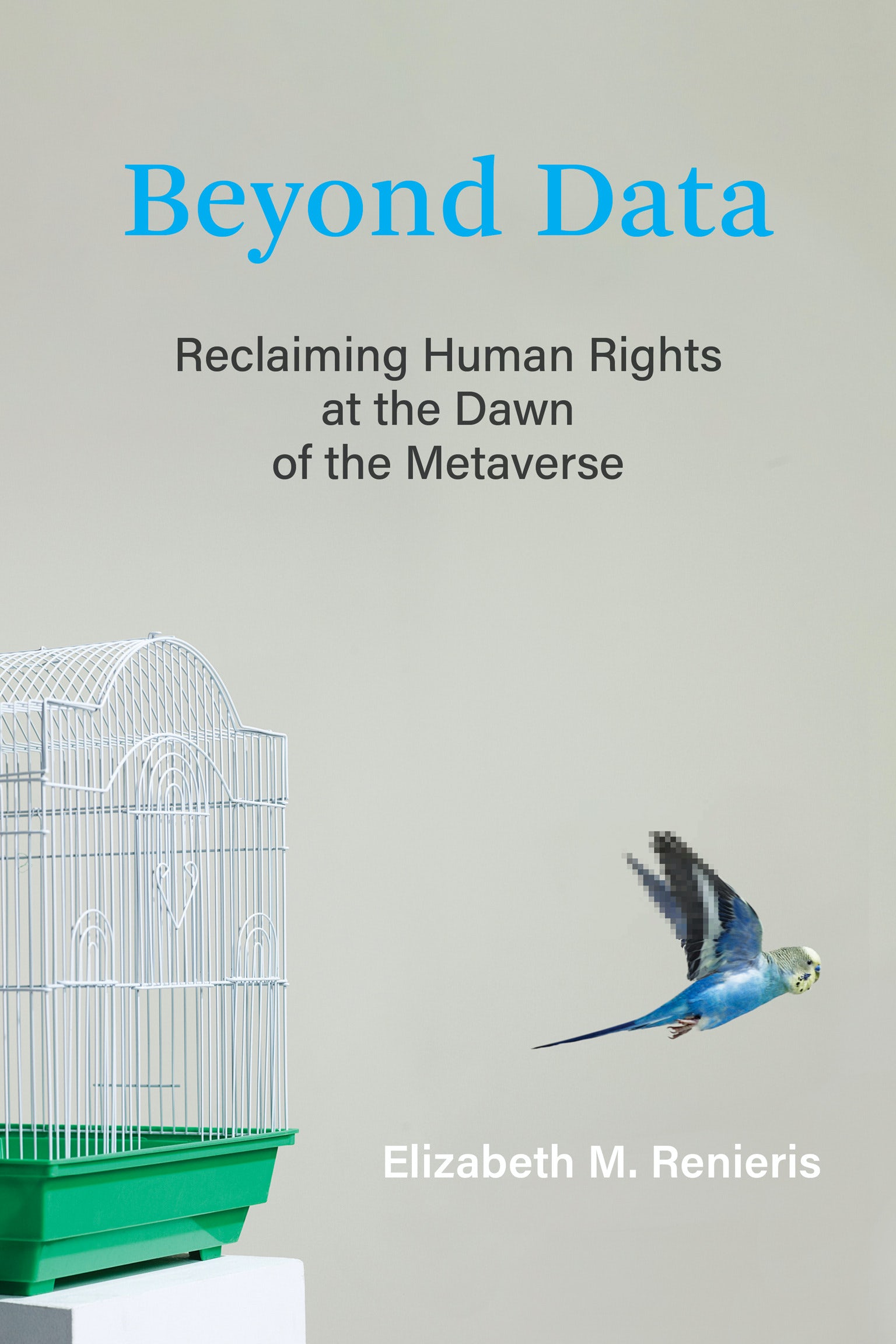 Book cover of Beyond Data by Elizabeth M. Renieris.
